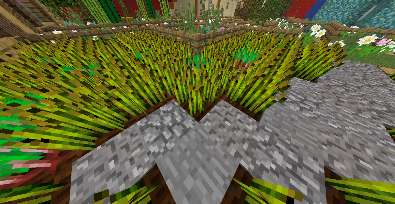 Raffle Winners Announced